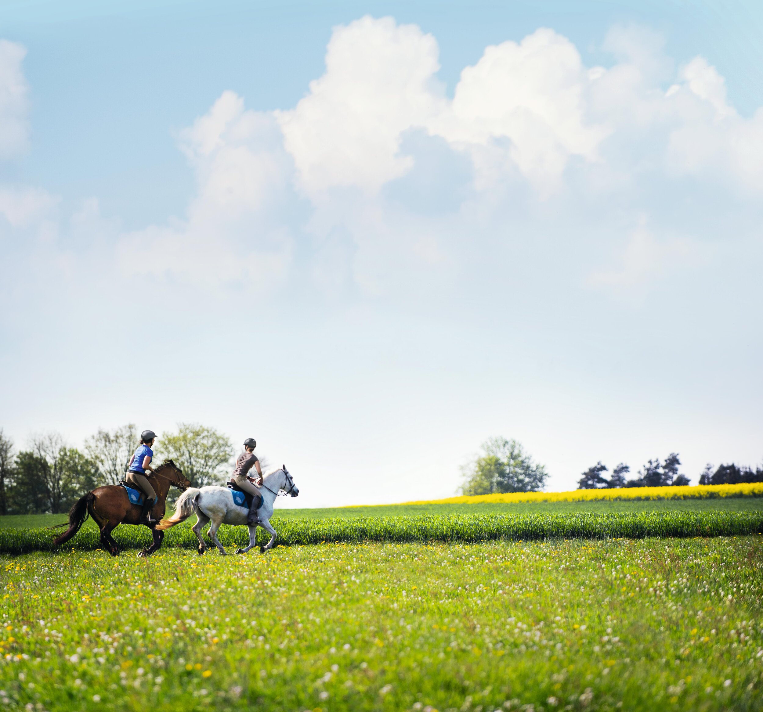 uvex_Equestrian_wherever_you_want_to_explore_Image.jpg