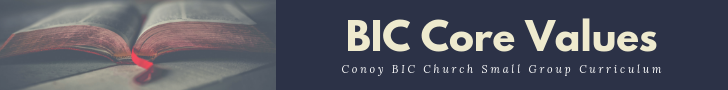 BIC Core Values header.png