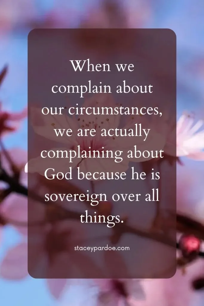 THURSDAY'S THOUGHT TO PONDER...