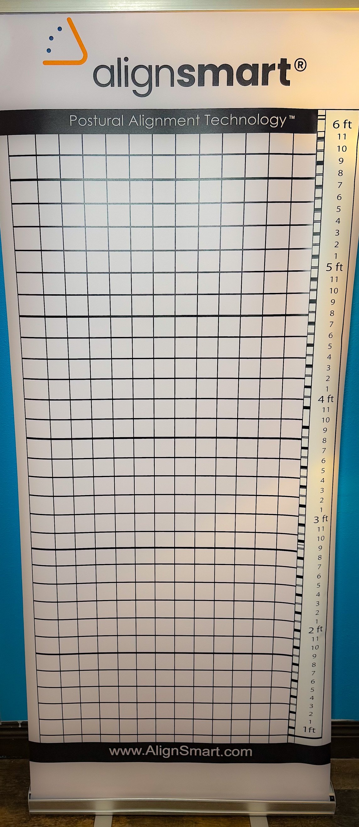 Alignsmart Wall Grid