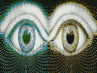 twocoloreyes.gif