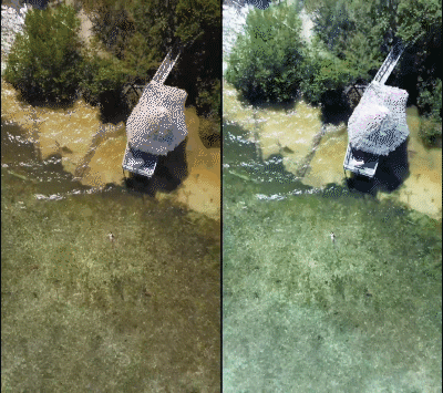 compare.gif