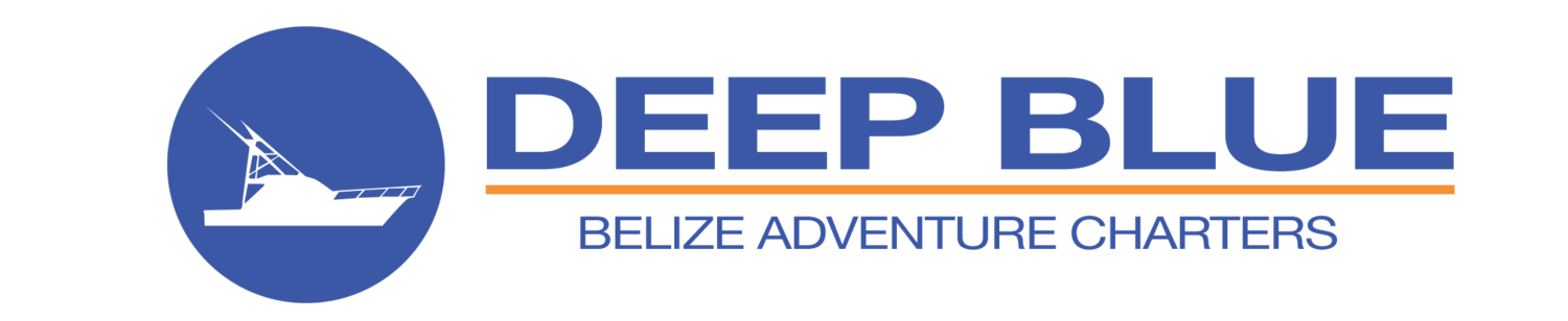 deepbluecharters.png