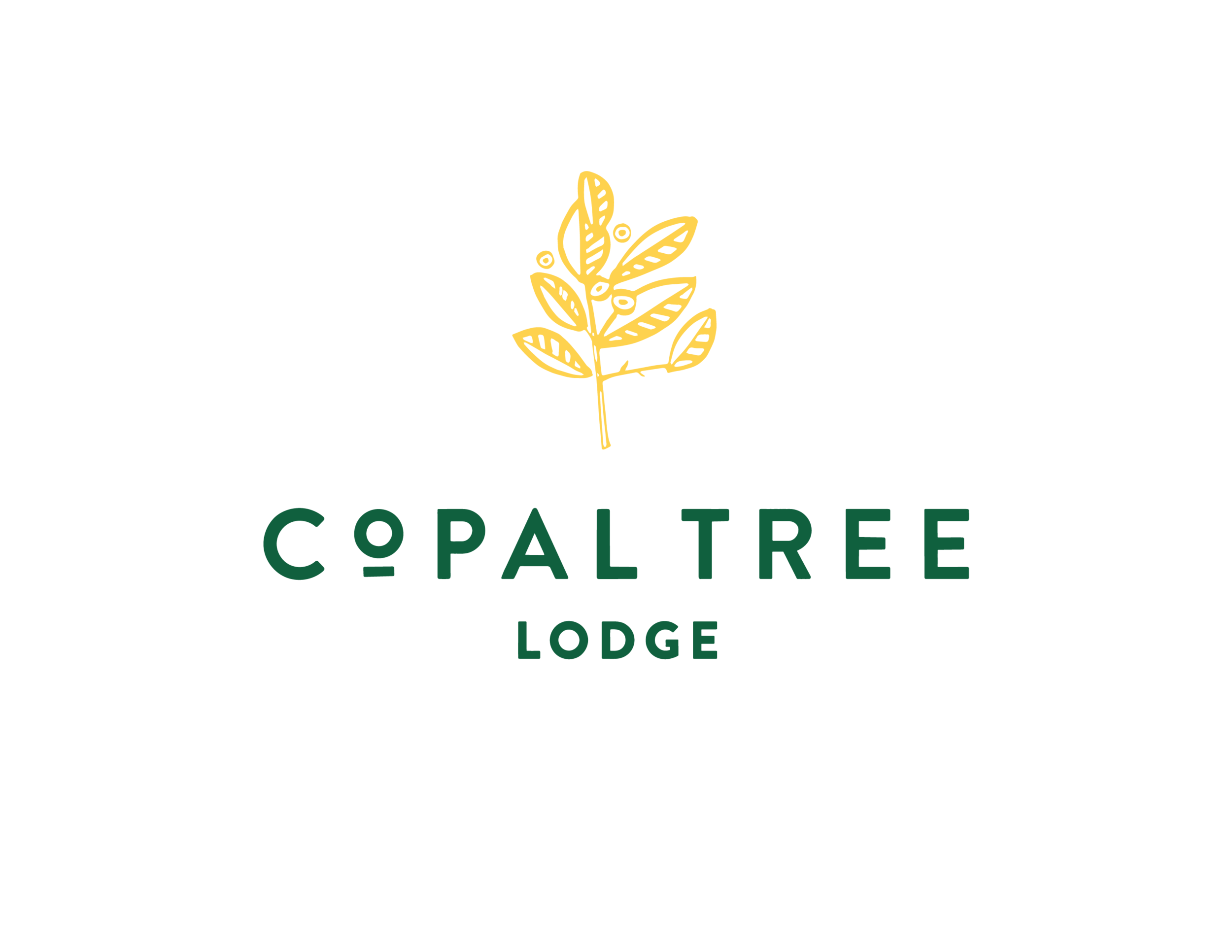 CTlogo_Lodge_secondary_CMYK_color.png