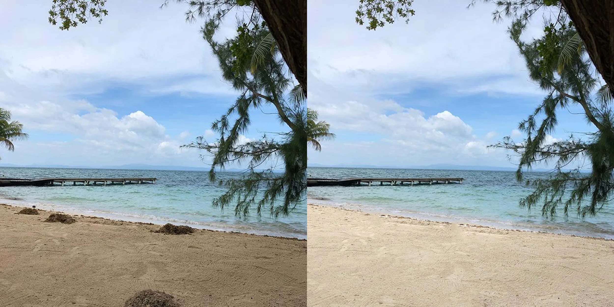 thatchB&A.jpg