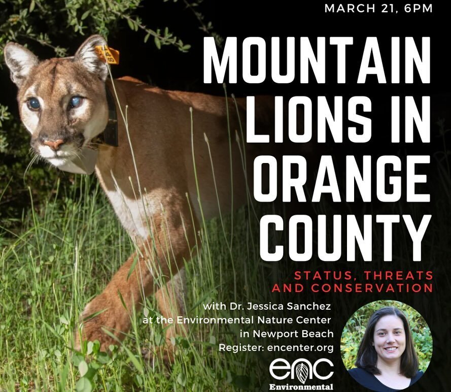Dr. Jessica Sanchez of the San Diego Zoo Wildlife Alliance is a key contributor to several of our study elements in Southern California. 

Join Dr. Sanchez at the Environmental Nature Center in Newport Beach next Thursday March 21st at 6pm for a pres