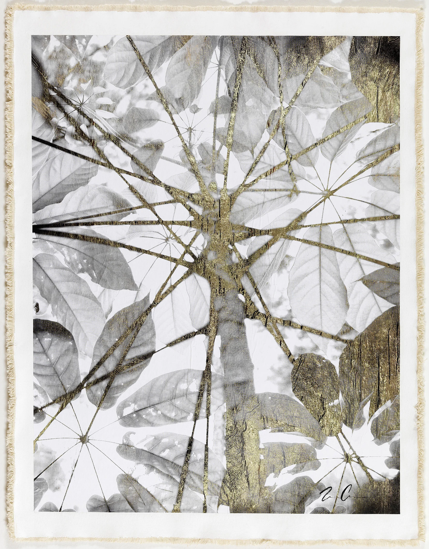 Bill Claps, Image Courtesy of Laurent Marthaler Contemporary