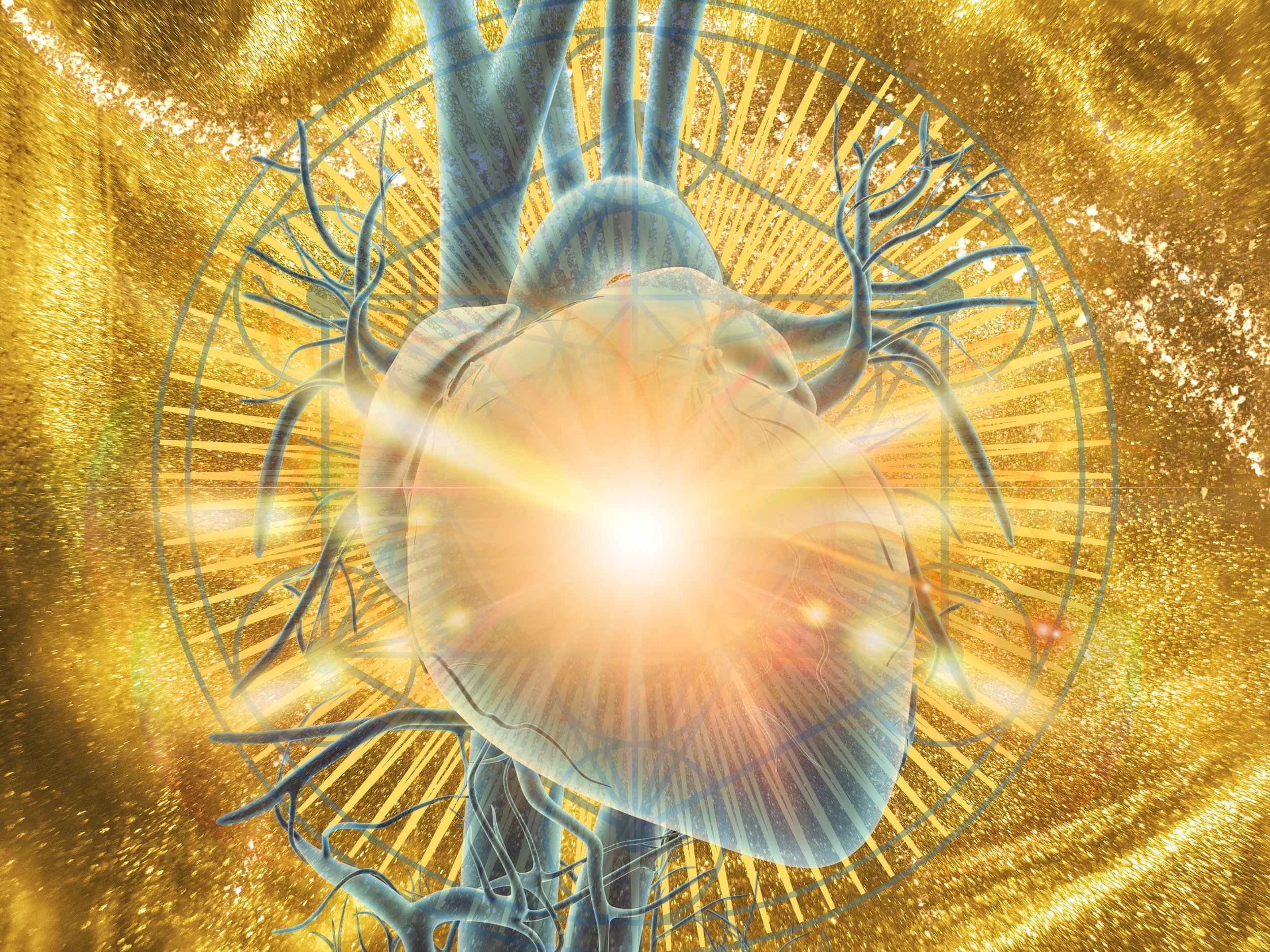 Stephanie Ablett — Sacred Heart Coaching Program