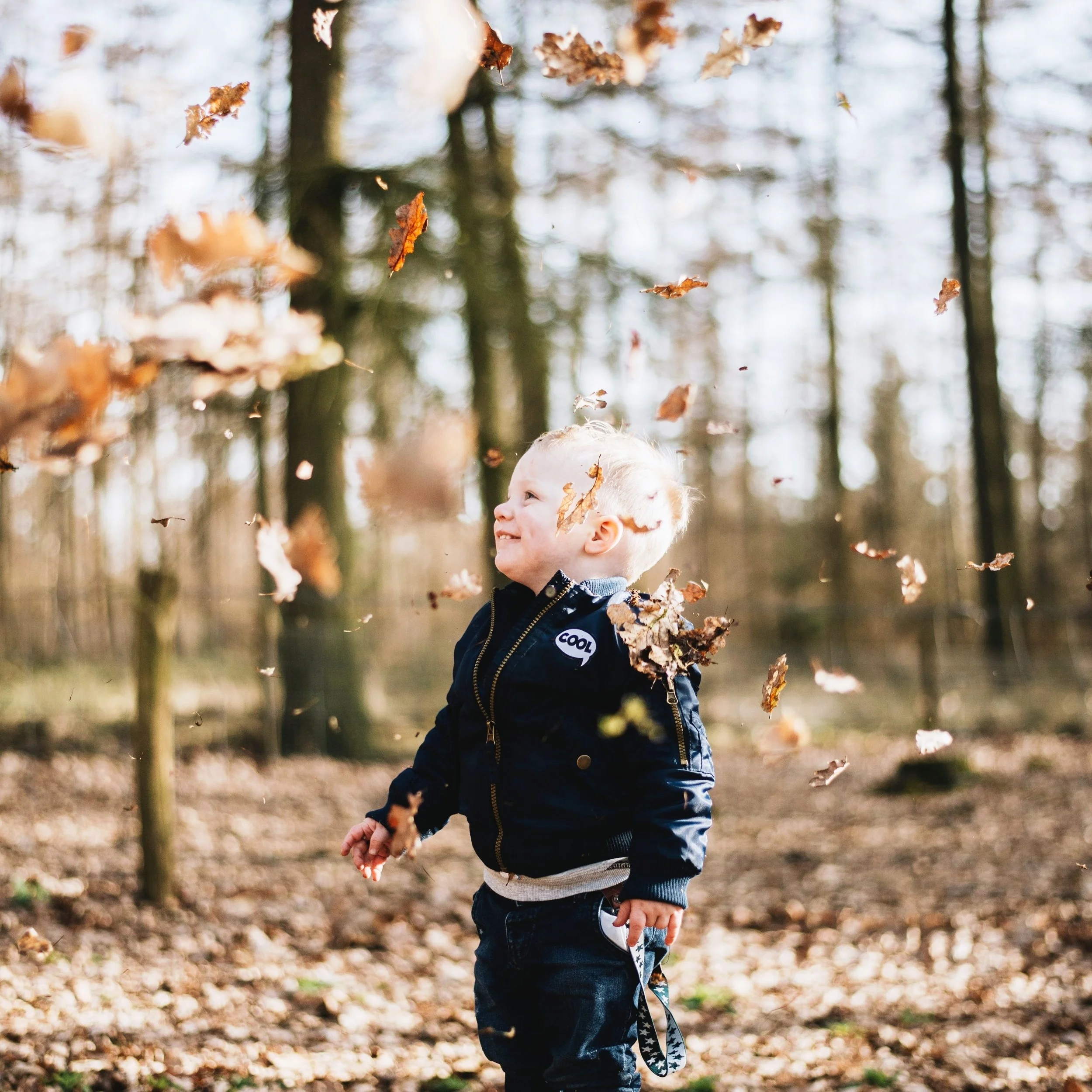 sander-weeteling-586753-unsplash%2B%25281%2529.jpg