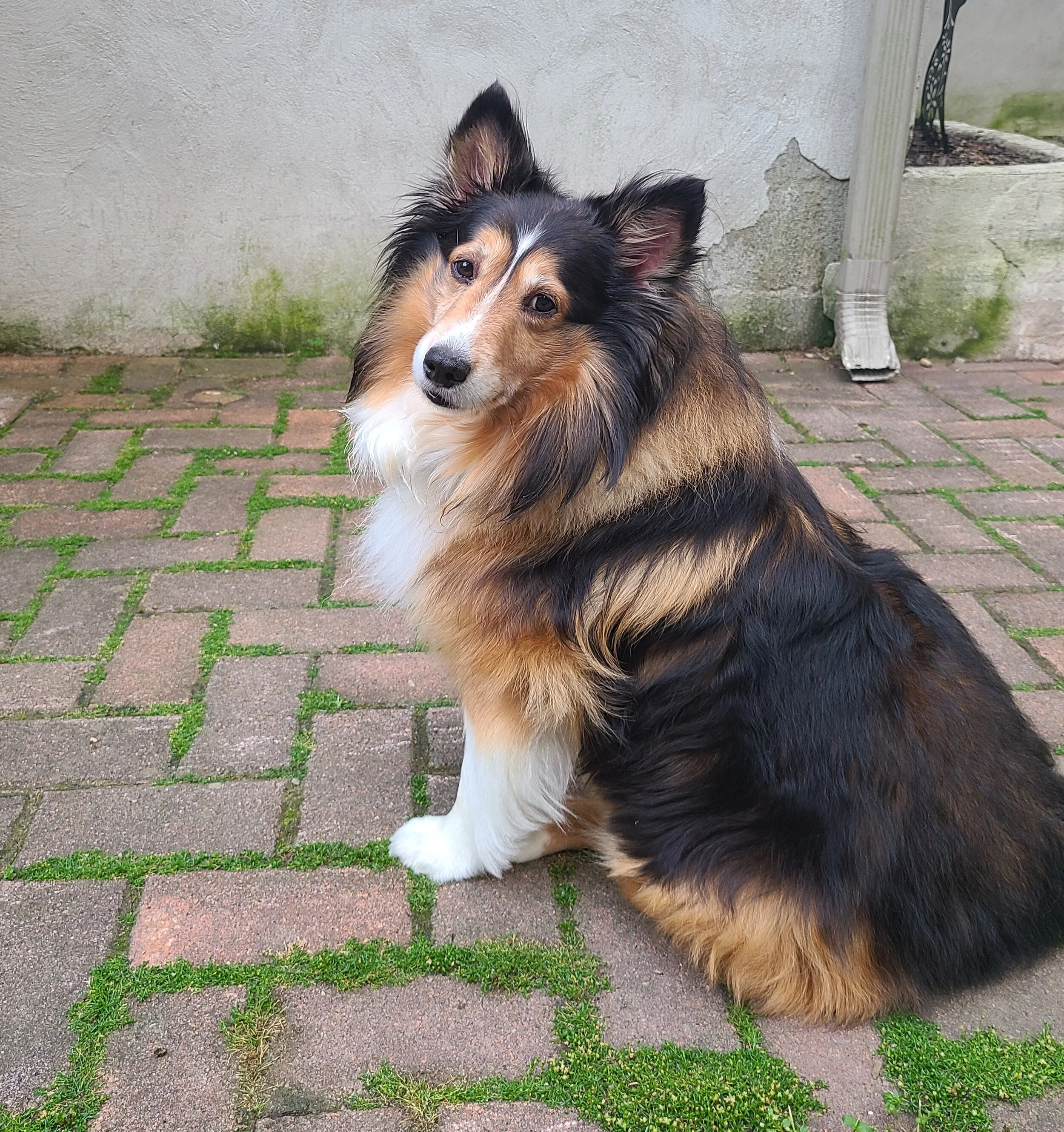 Cubby