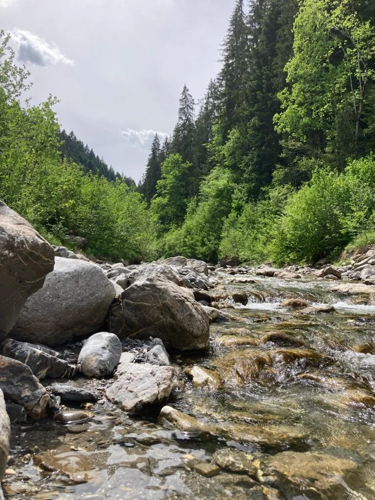 The Healing Powers And Magic Of Water