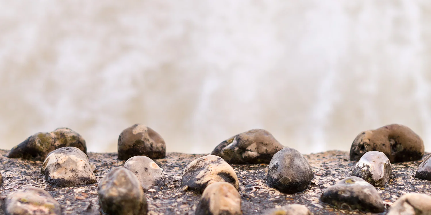 Sea Wall, Bonchurch