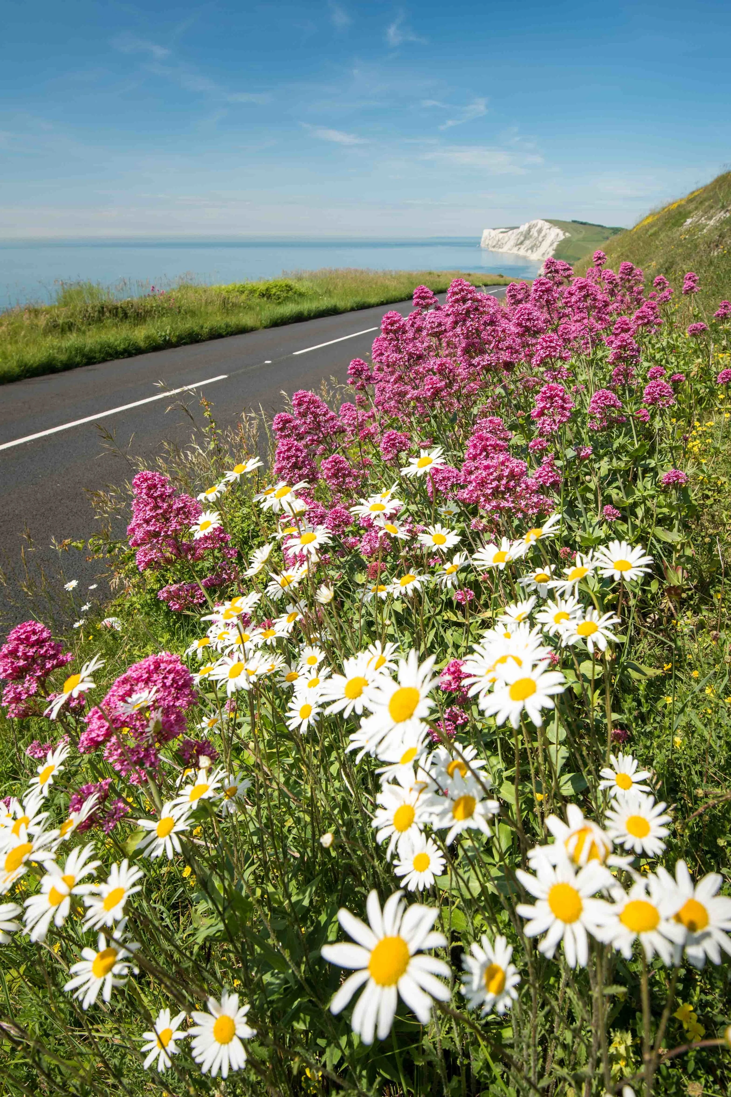 Summertime, West Wight