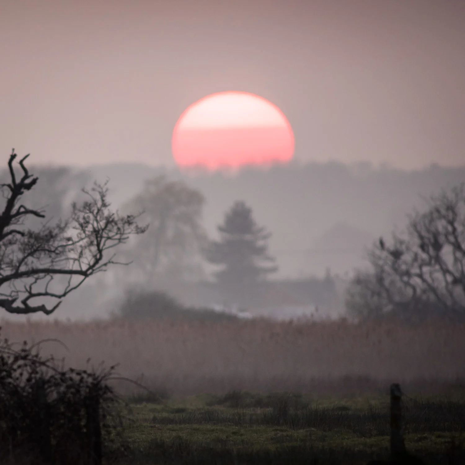 Bembridge Lagoons_Brading Marshes_30March2019_DSC_9780_1500_web (2).jpg