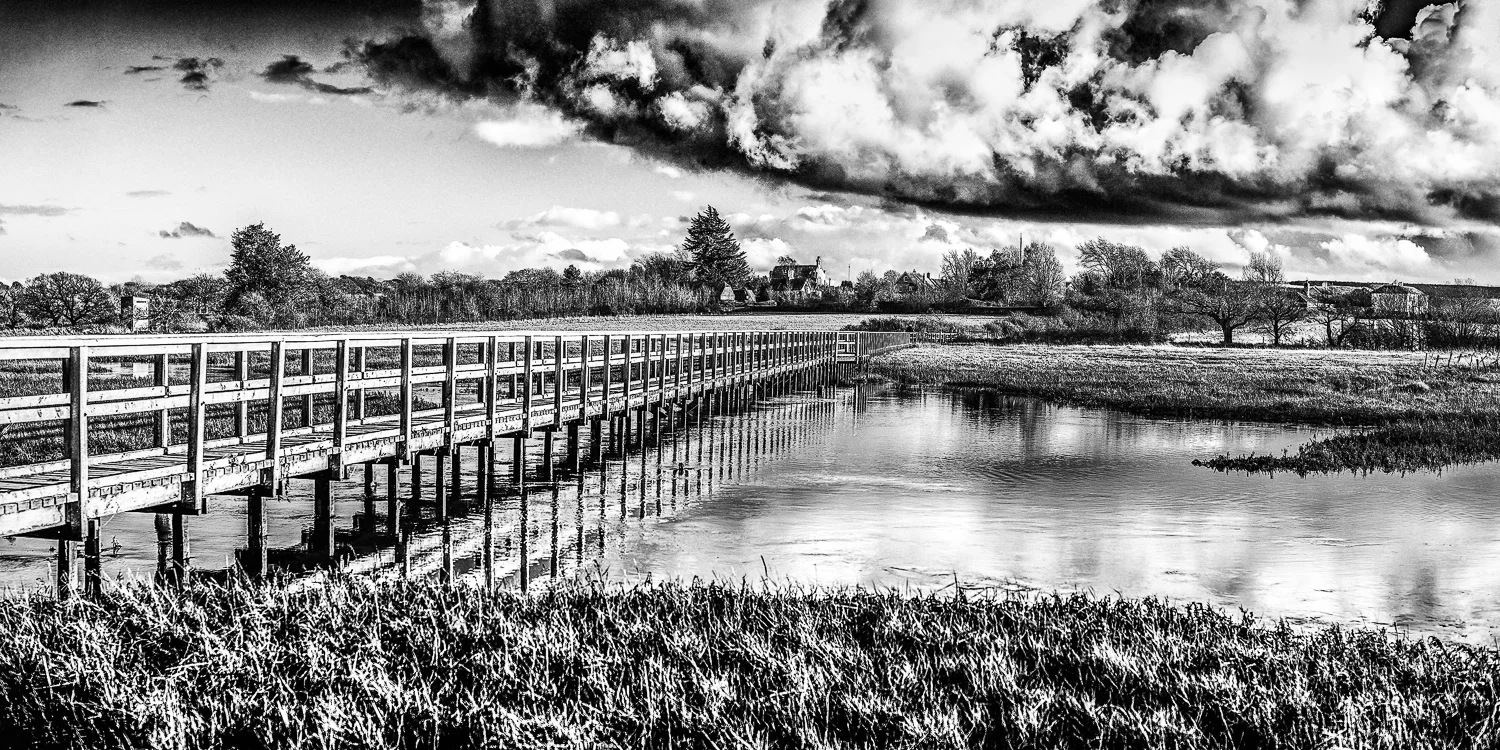 Newtown_nt2068P_bw_16x8_1500px_web.jpg