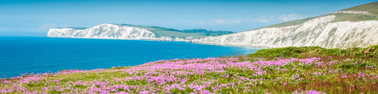 Fields_Freshwater Thrift_8988-Pano_4x1a_720x180mm_web.jpg