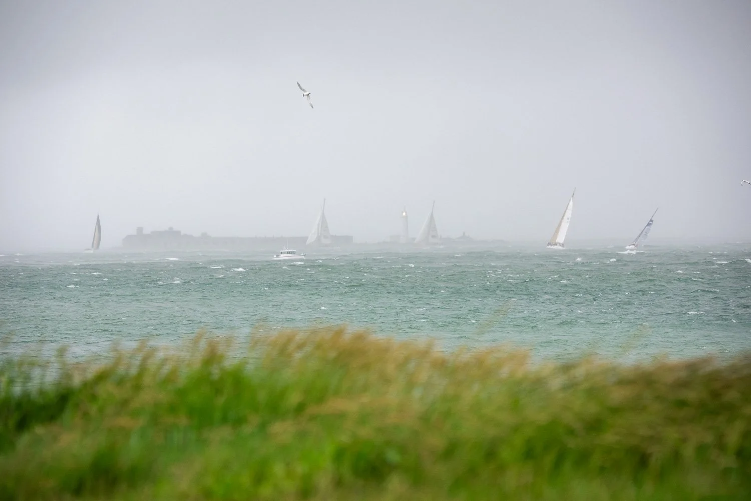 round the island 2024_DSC3523_web.jpg