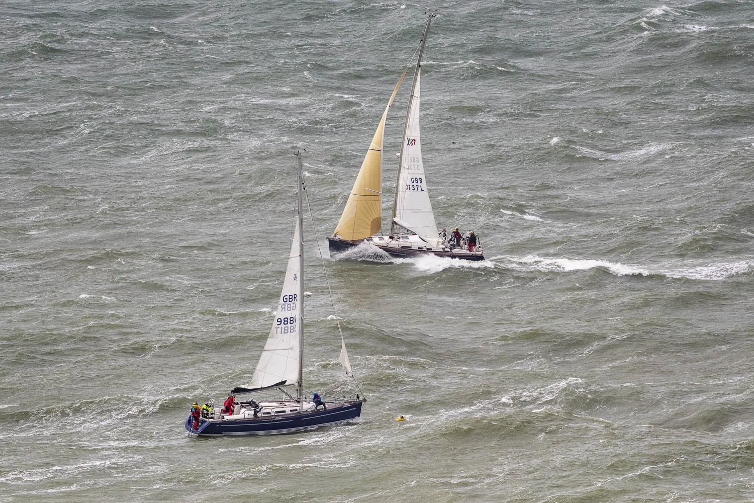 round the island 2024_8504080_web.jpg