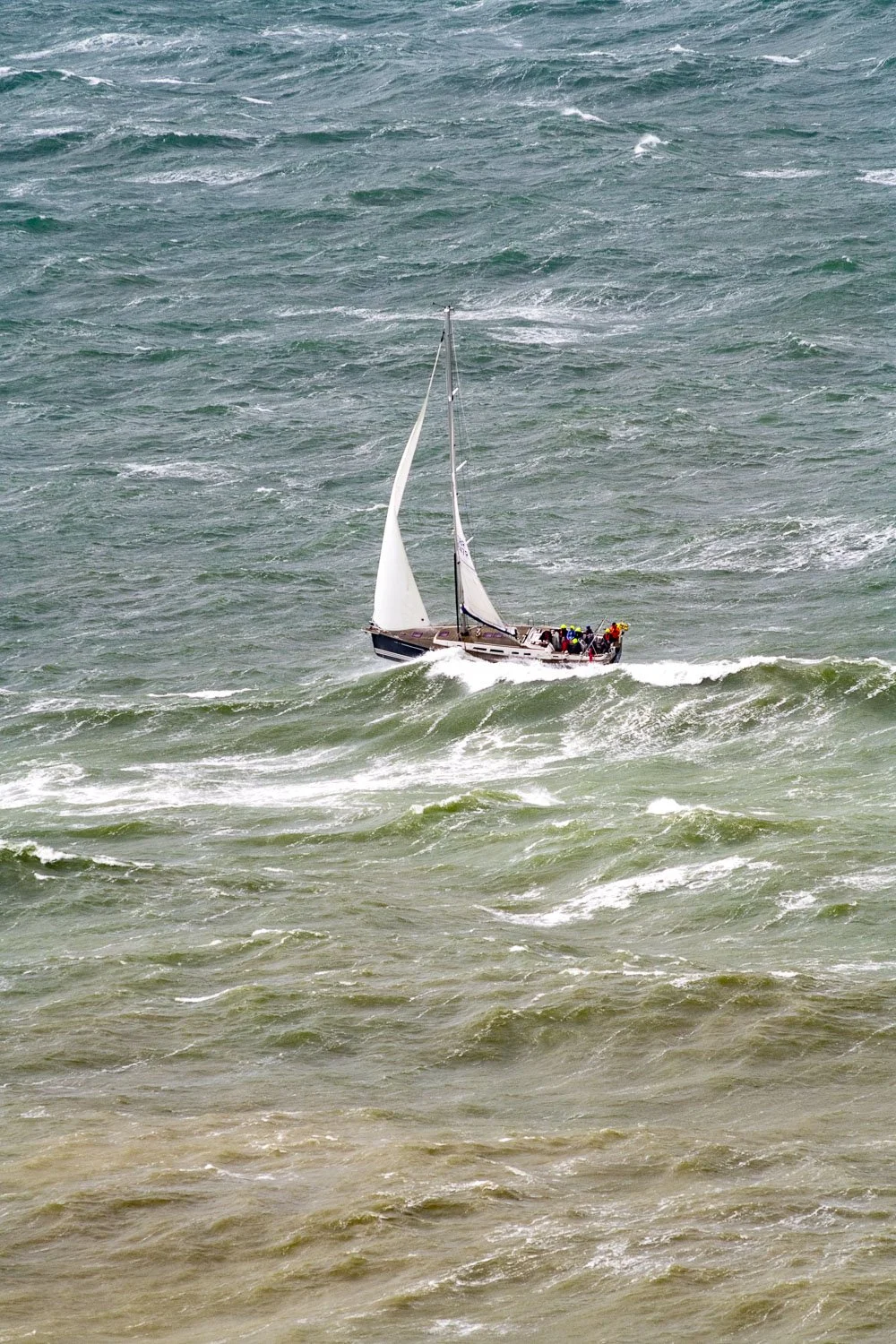 round the island 2024_8503950_web.jpg