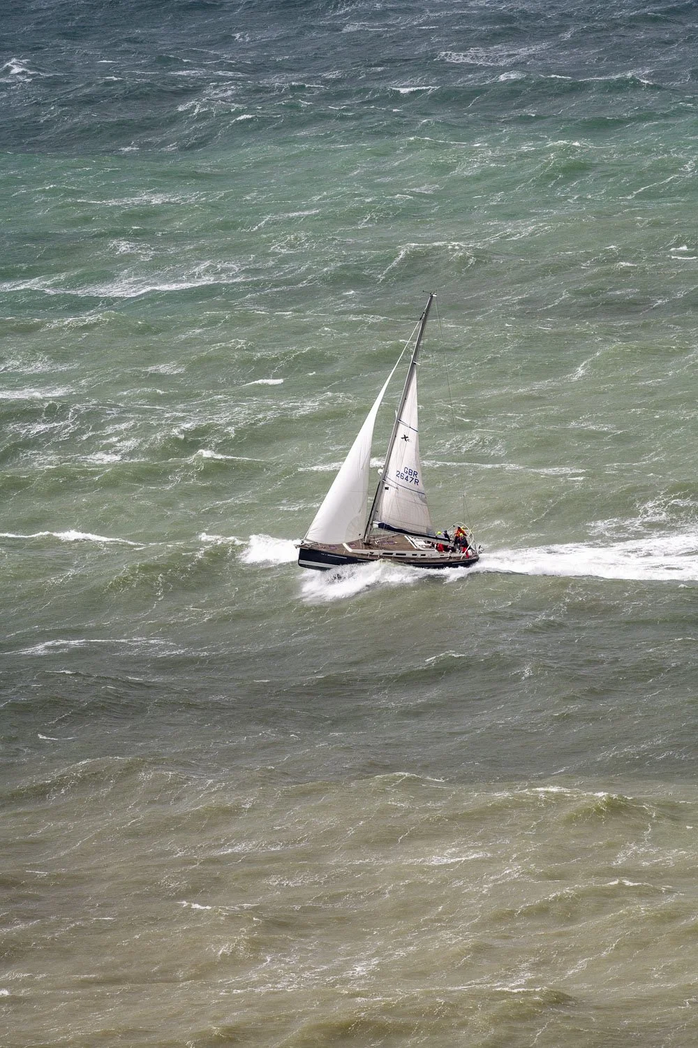 round the island 2024_8503942_web.jpg