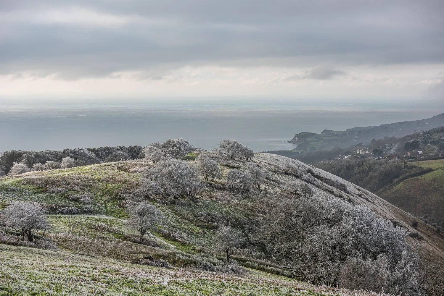 frosty downs_dec22__DSC8848_web.jpg