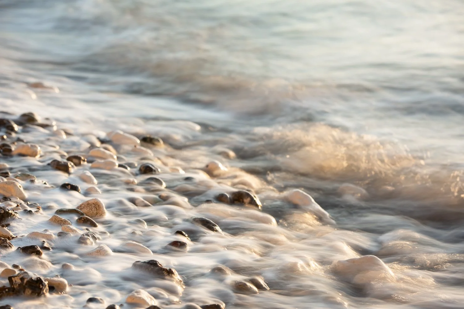 freshwater_sunrise_feb22_DSC3659-HDR_web.jpg