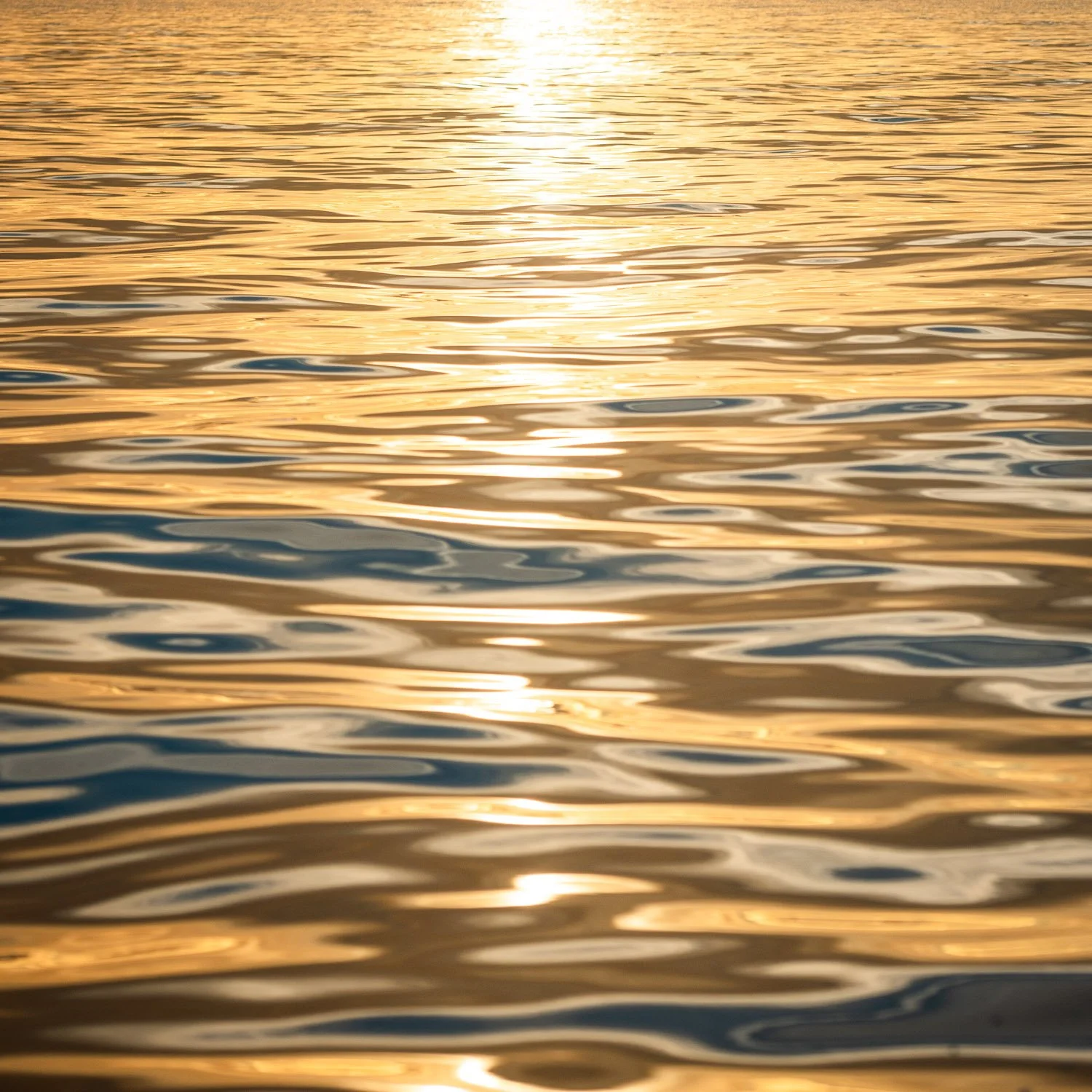 calm sea_gold_boat trip_DSC2528_web.jpg