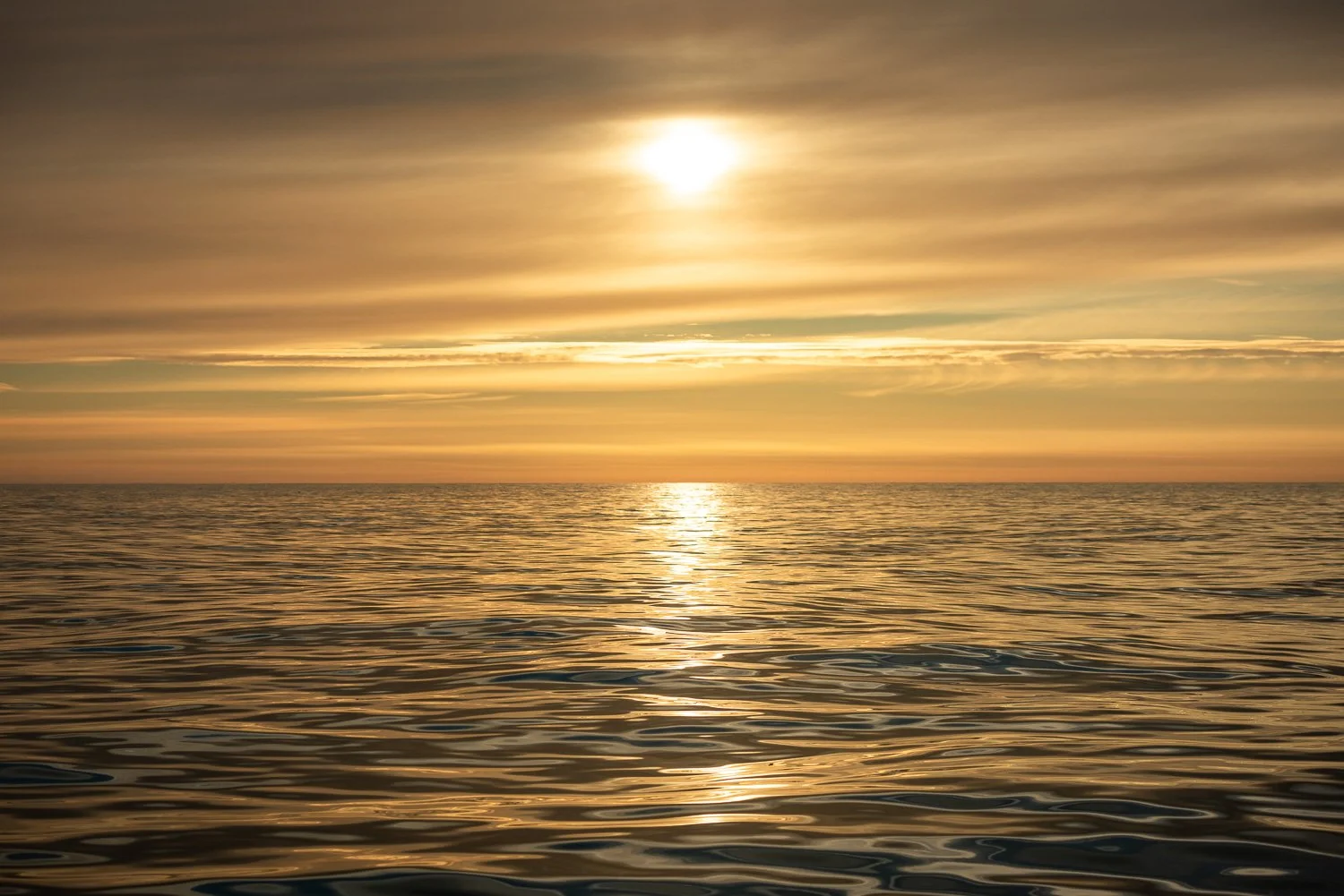 calm sea_boat trip_DSC2525_web.jpg