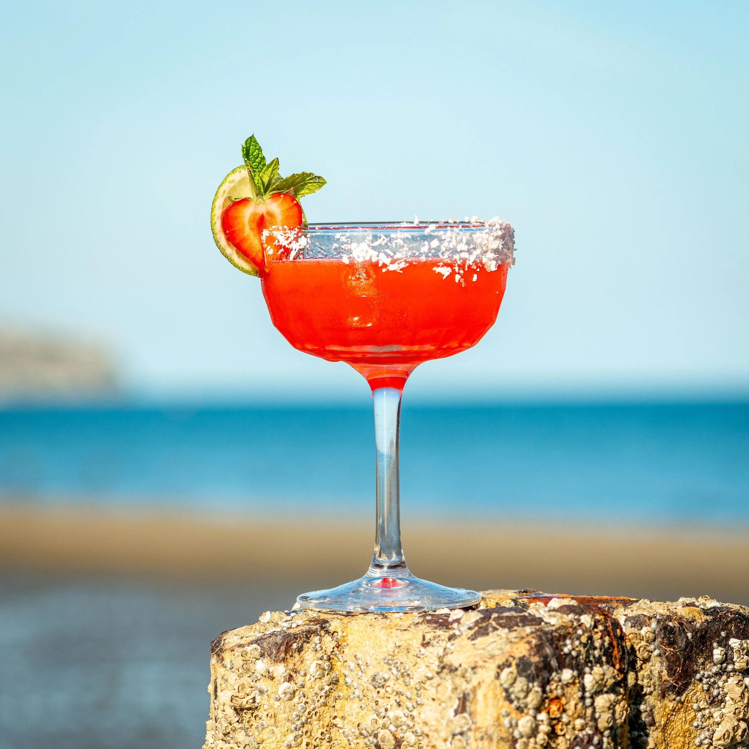tradewinds_cocktails_8505196.jpg
