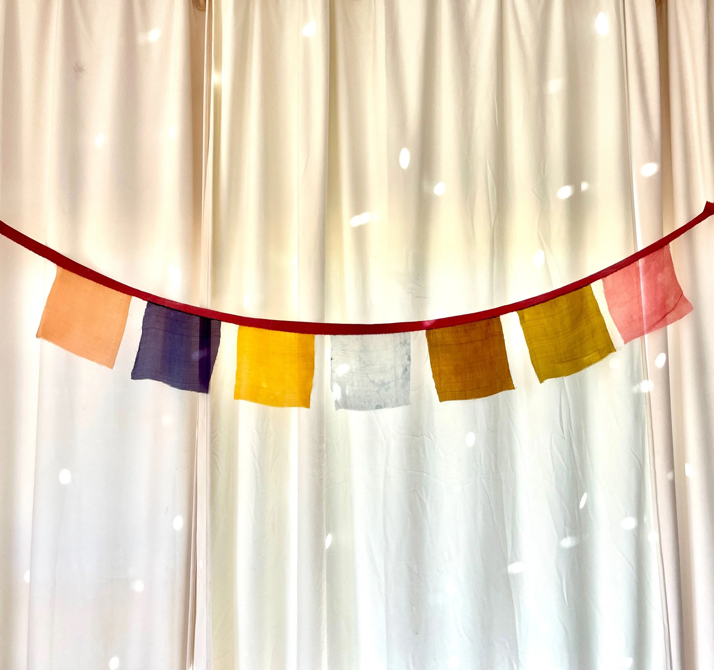 21A8275C-98A4-4BFA-B109-93FF8BD6CDEE