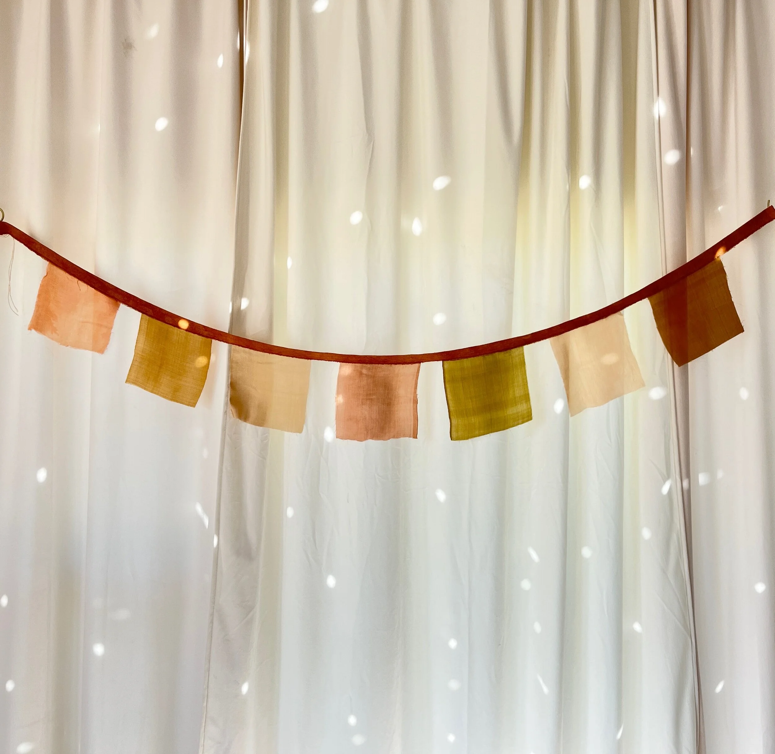 30A4CCDA-04D6-4CAE-A01B-DE1AC7506CEC