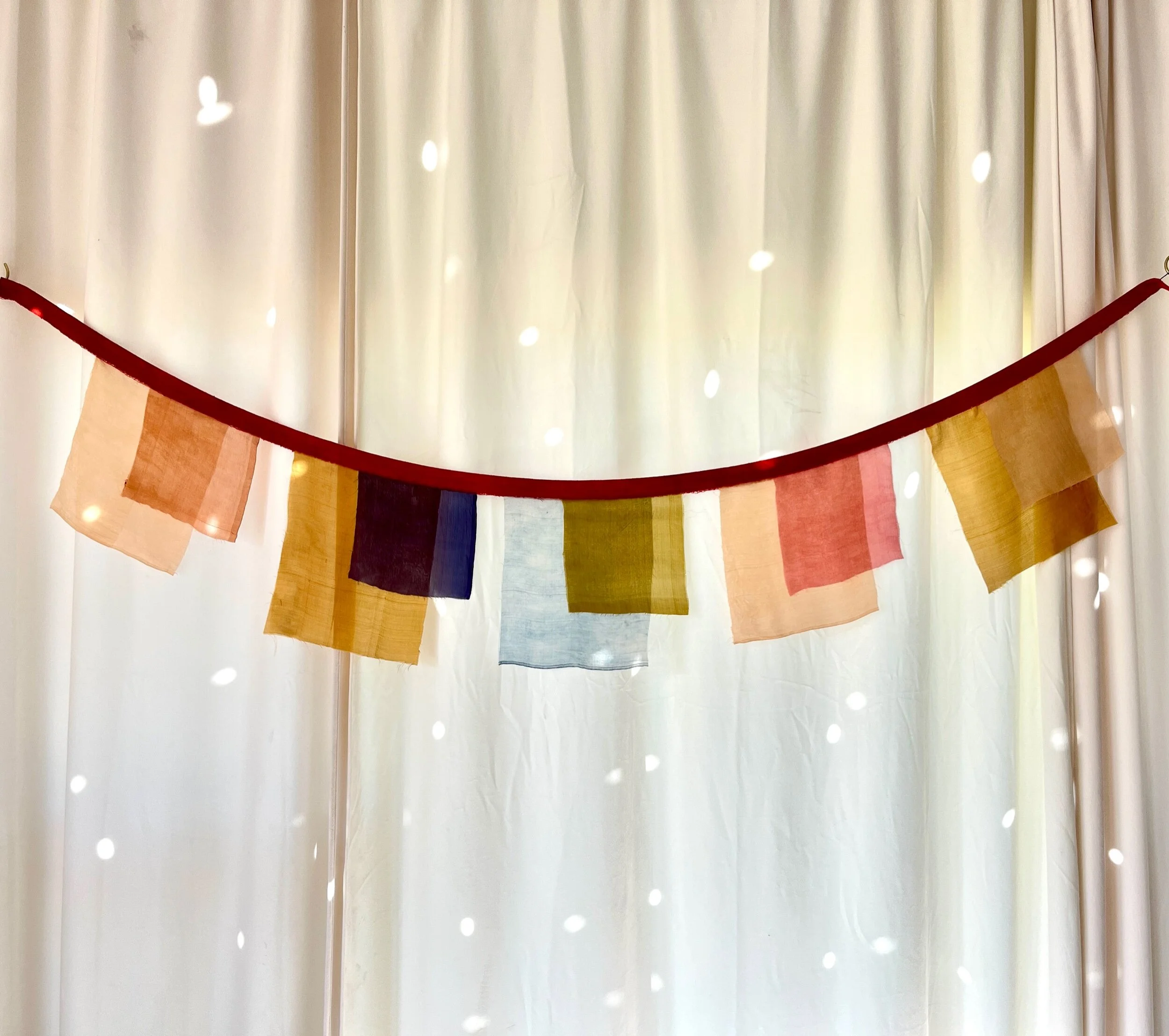 35D53969-34DD-4572-BFE7-FC83D6B1B6EB