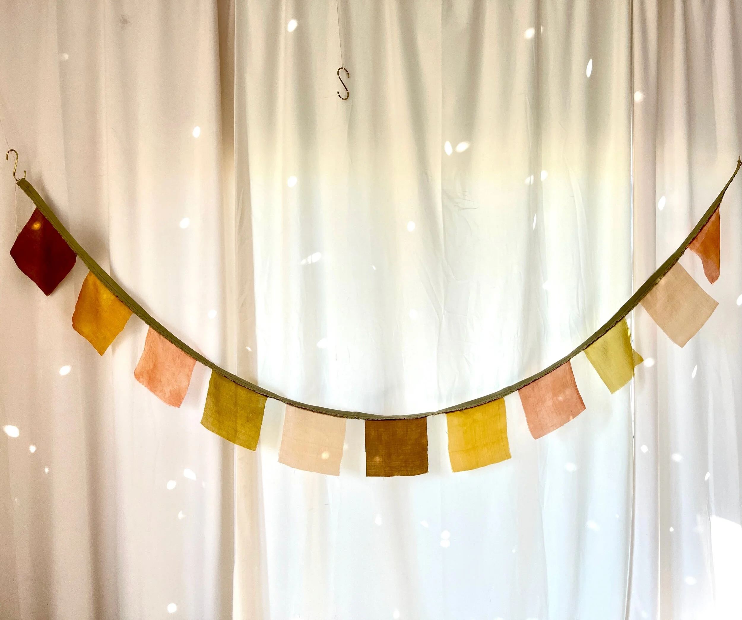 4BB31CF9-F551-42F8-AFA4-A712783B1E5B