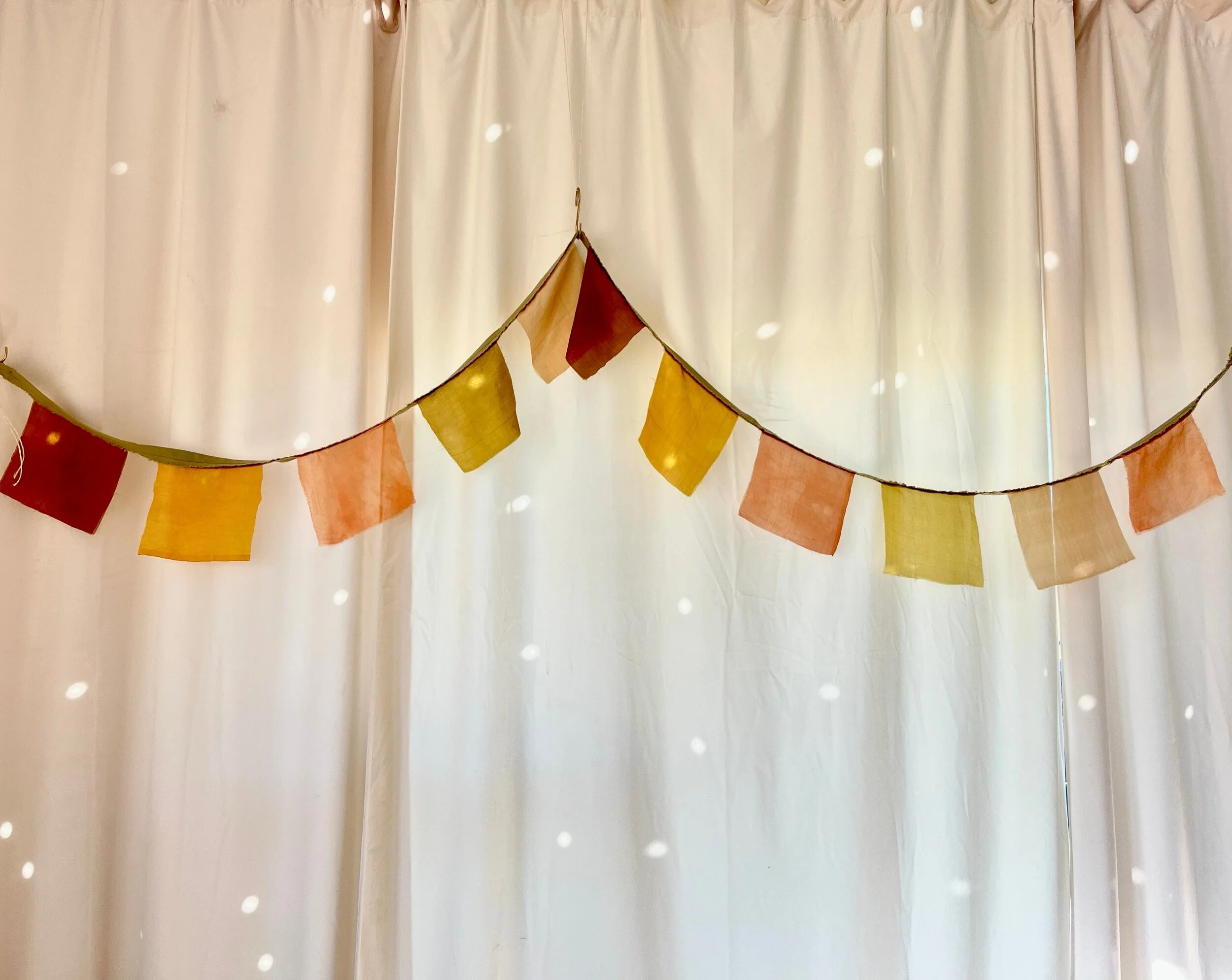 3E643803-B892-4DA9-A80F-B64E431A2AF2