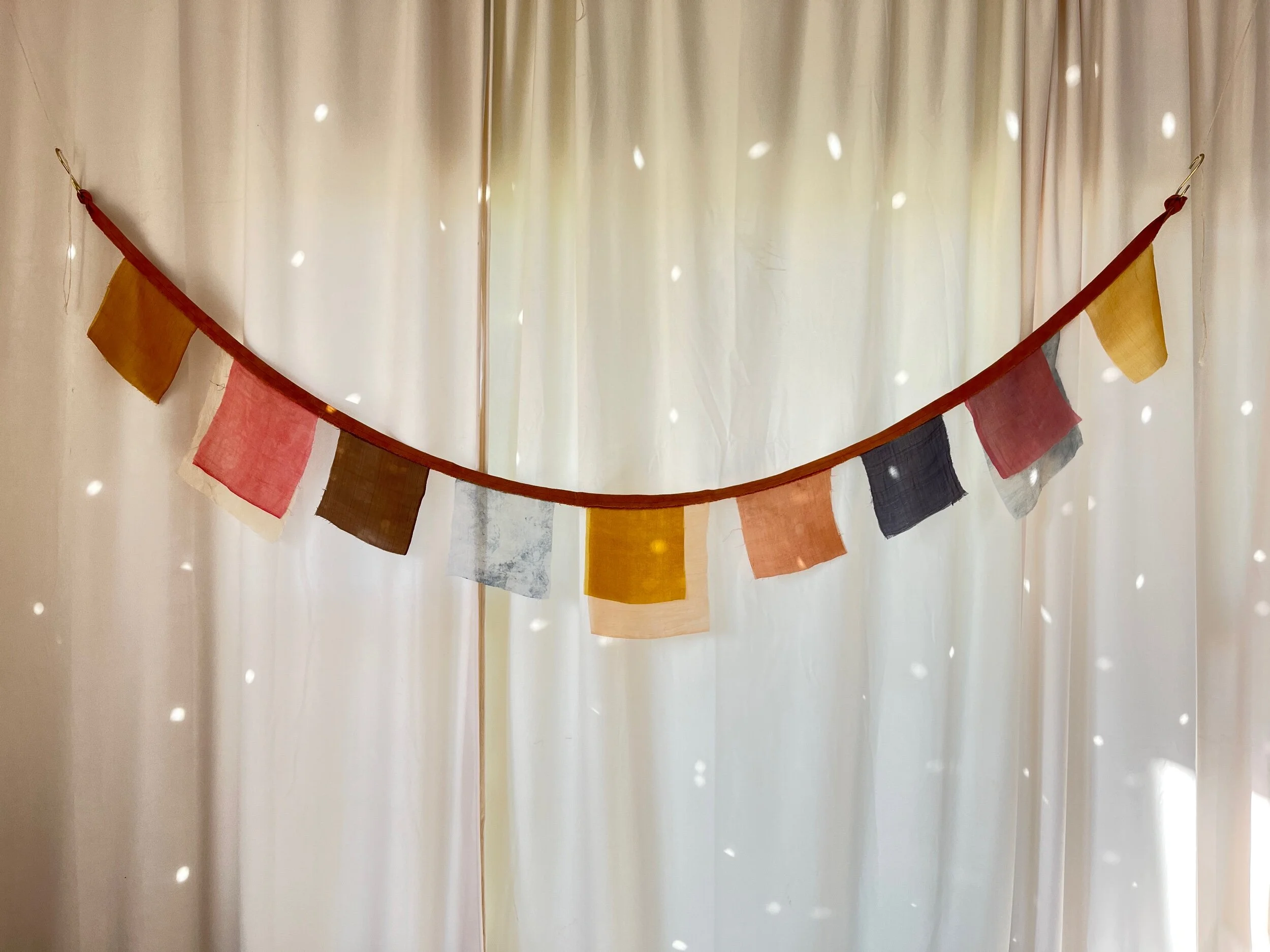 F039B265-36E8-4109-9291-09FD5D91F58D