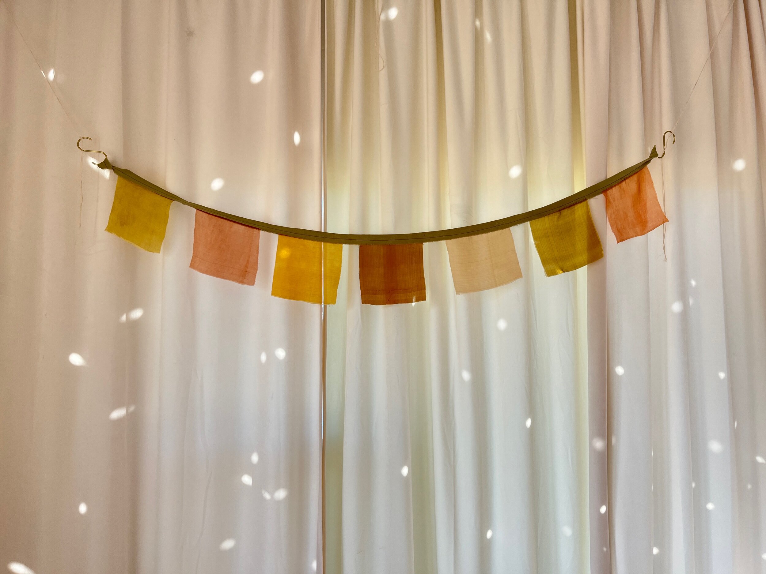 E03D9619-8B05-4530-9A46-460748598187