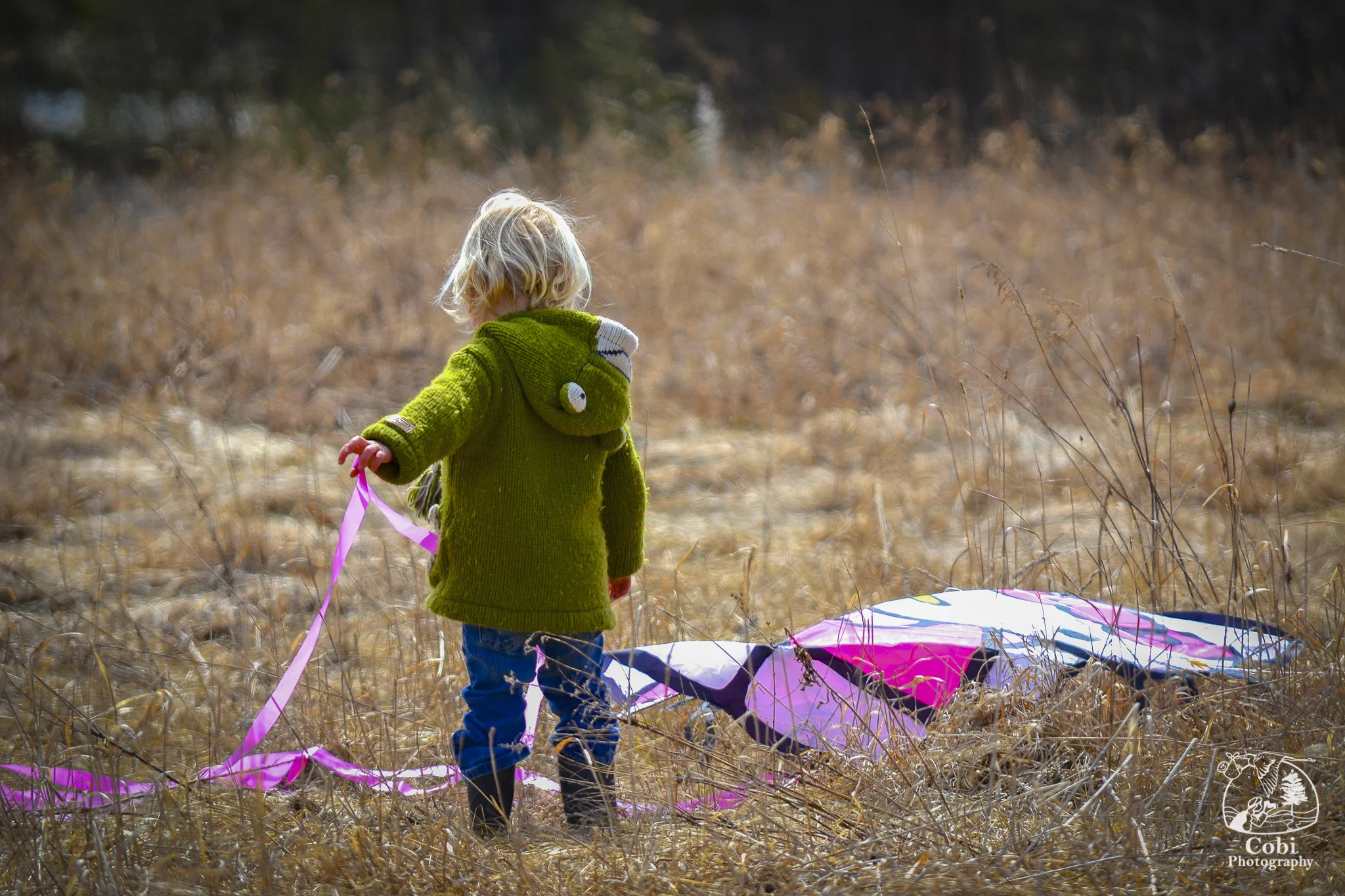 Spring. The perfect time to fly a kite!