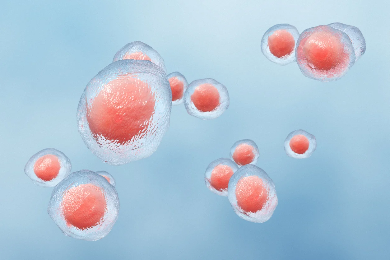 Investors — Linden Lake Venture Capital