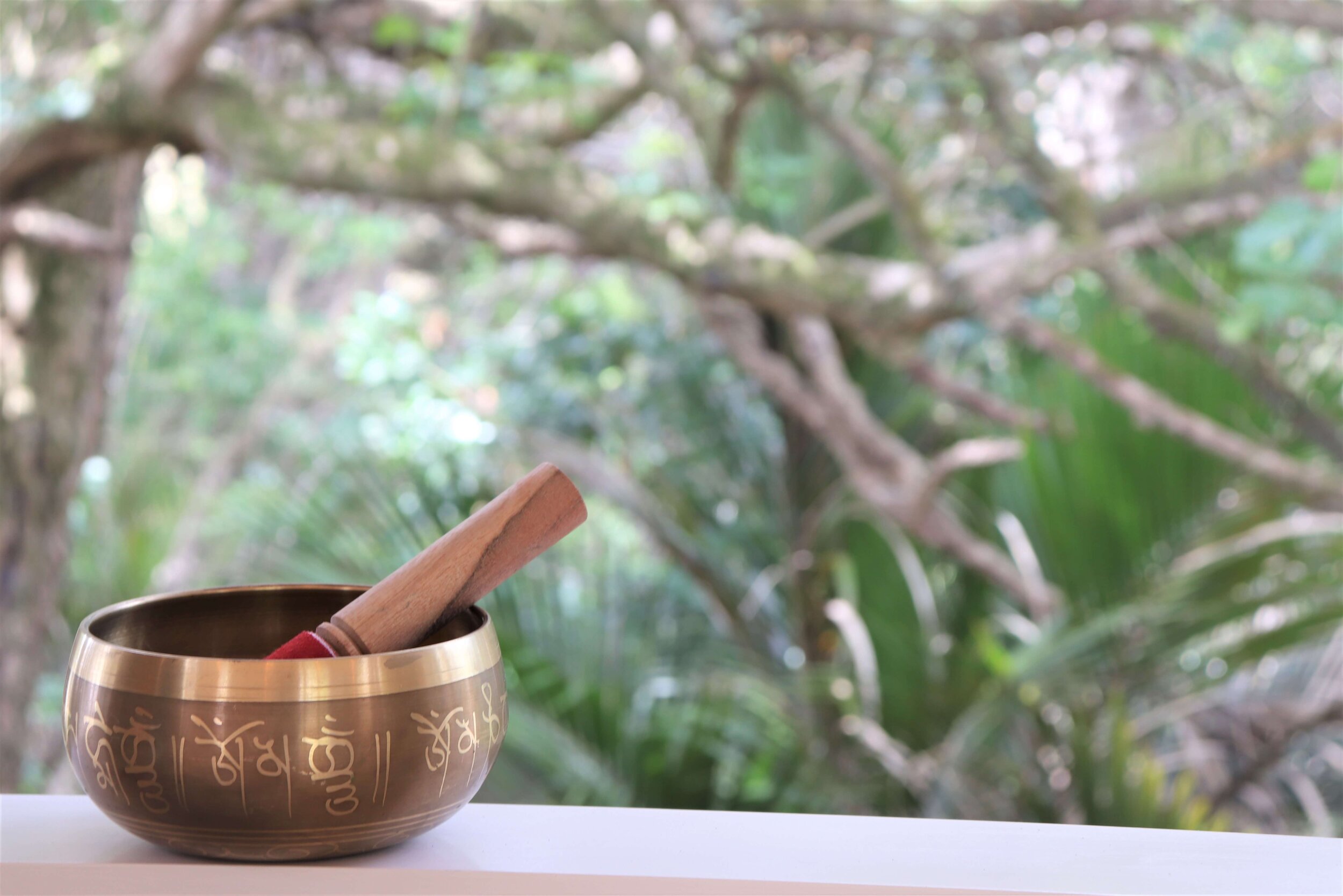 Singing bowl with bush background light and reduced .jpg