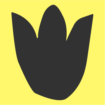 Chorus Class for Seniors