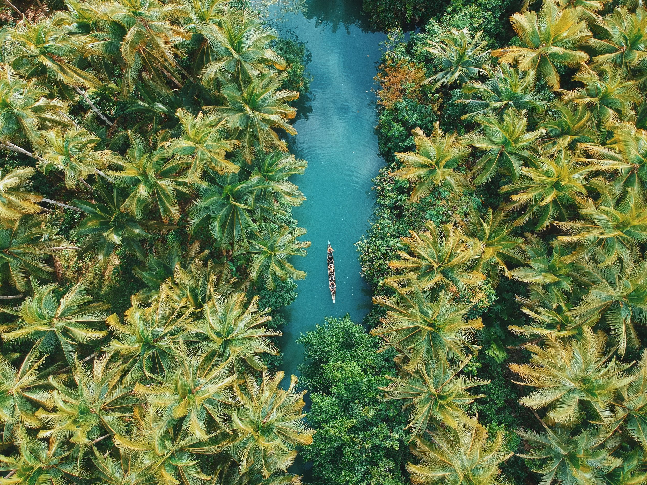 dale-de-vera-1349670-unsplash.jpg