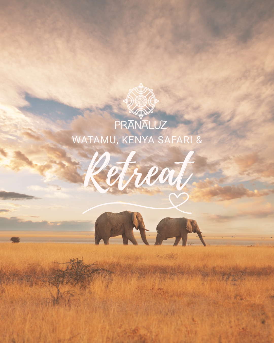 KENYA RETREAT & SAFARI