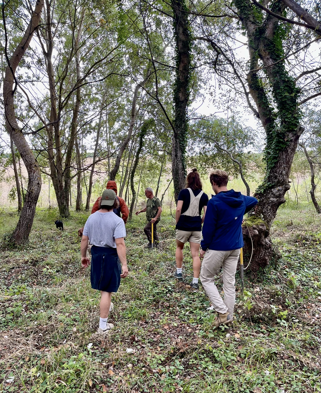 nature hike.png