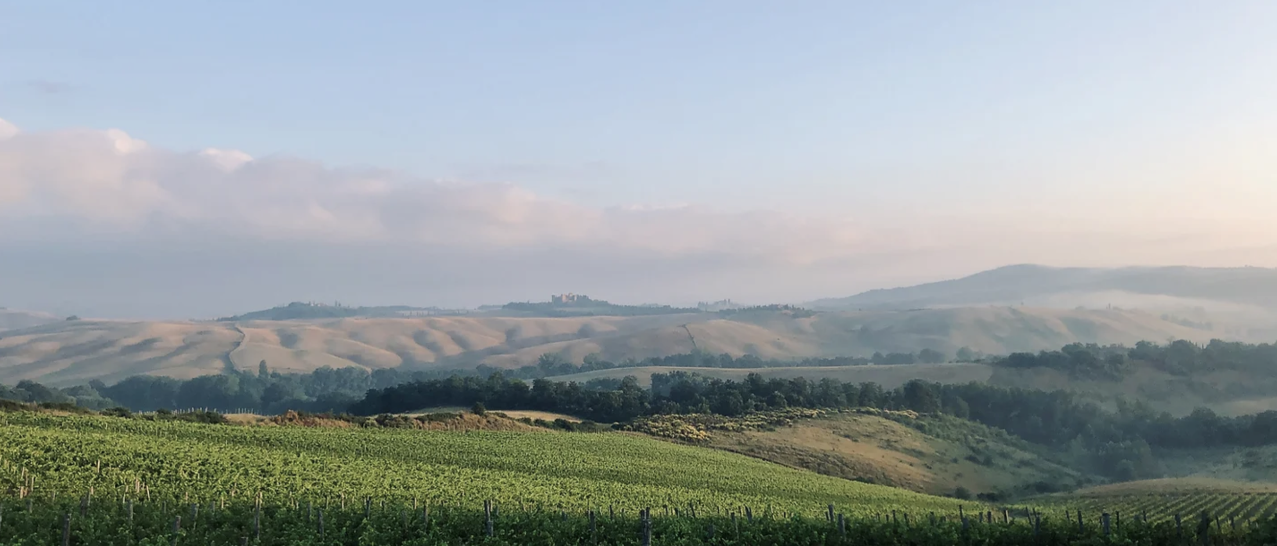 toscana layout.png