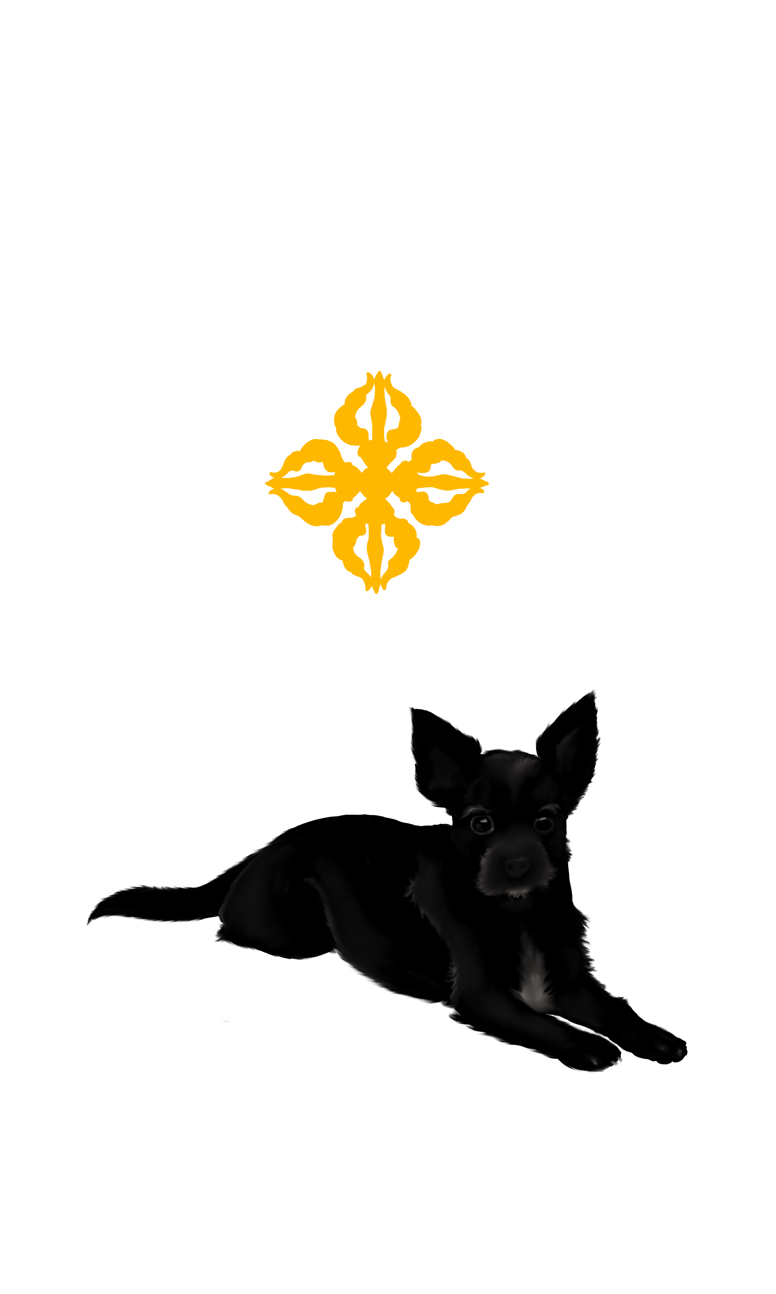 laika4.png