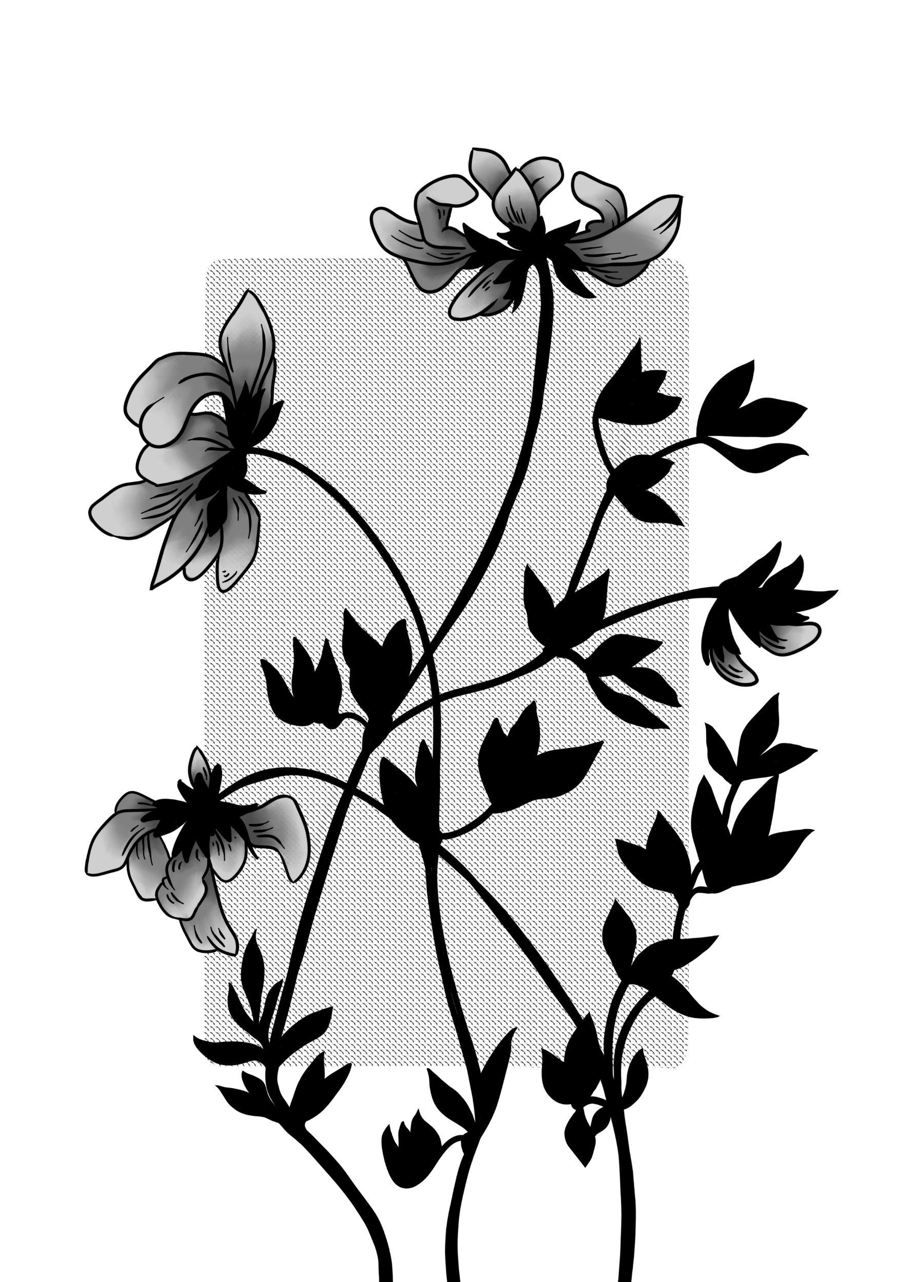 processed_blom.png