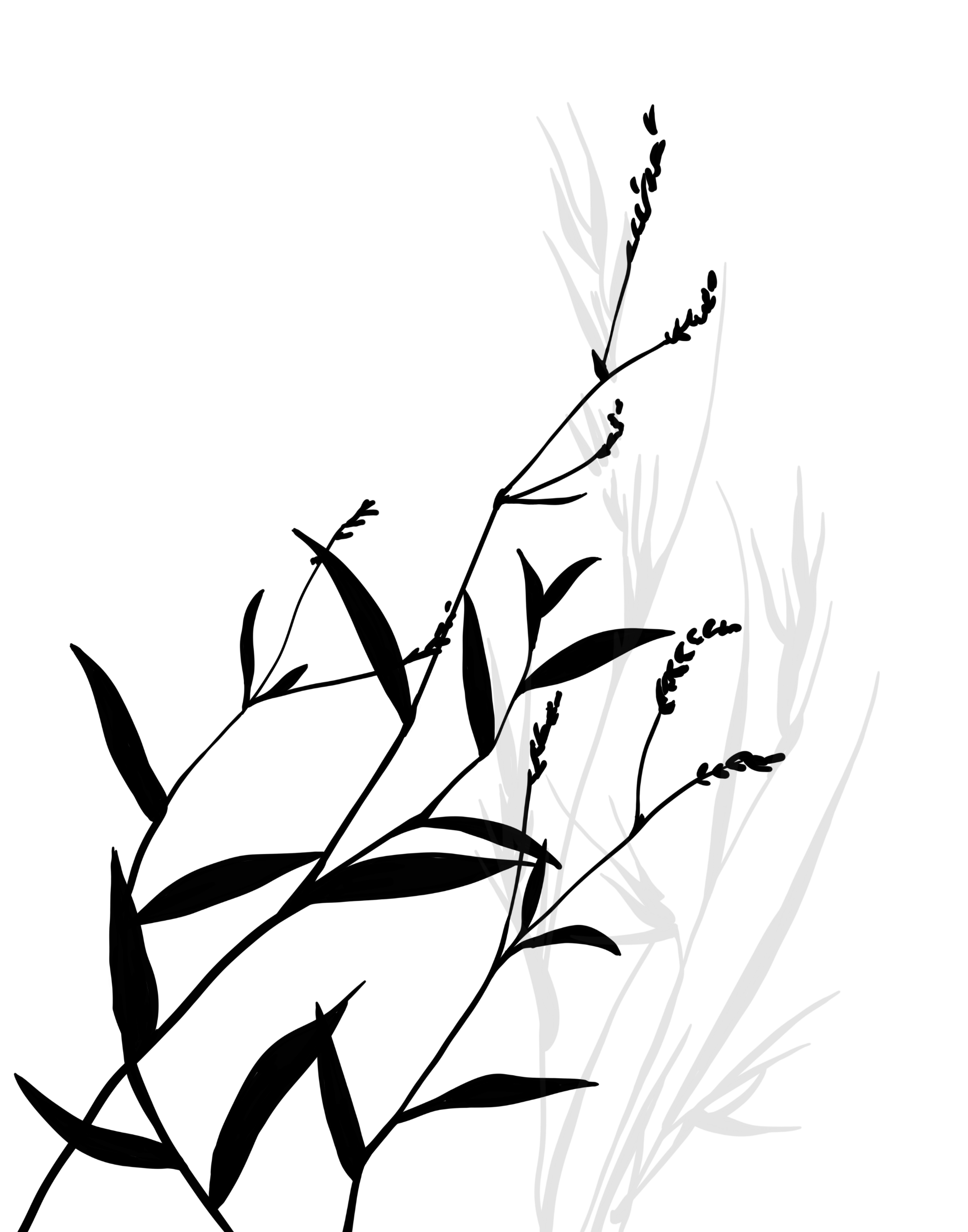 processed_gress2.png