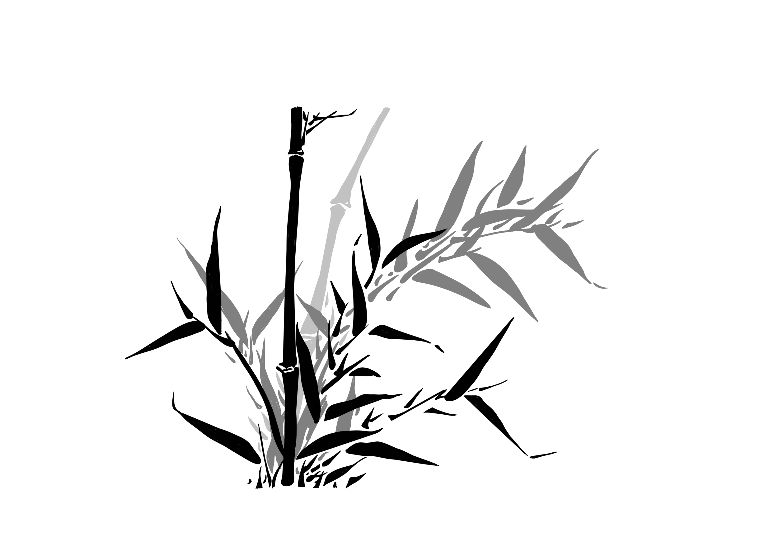 1000028120.png