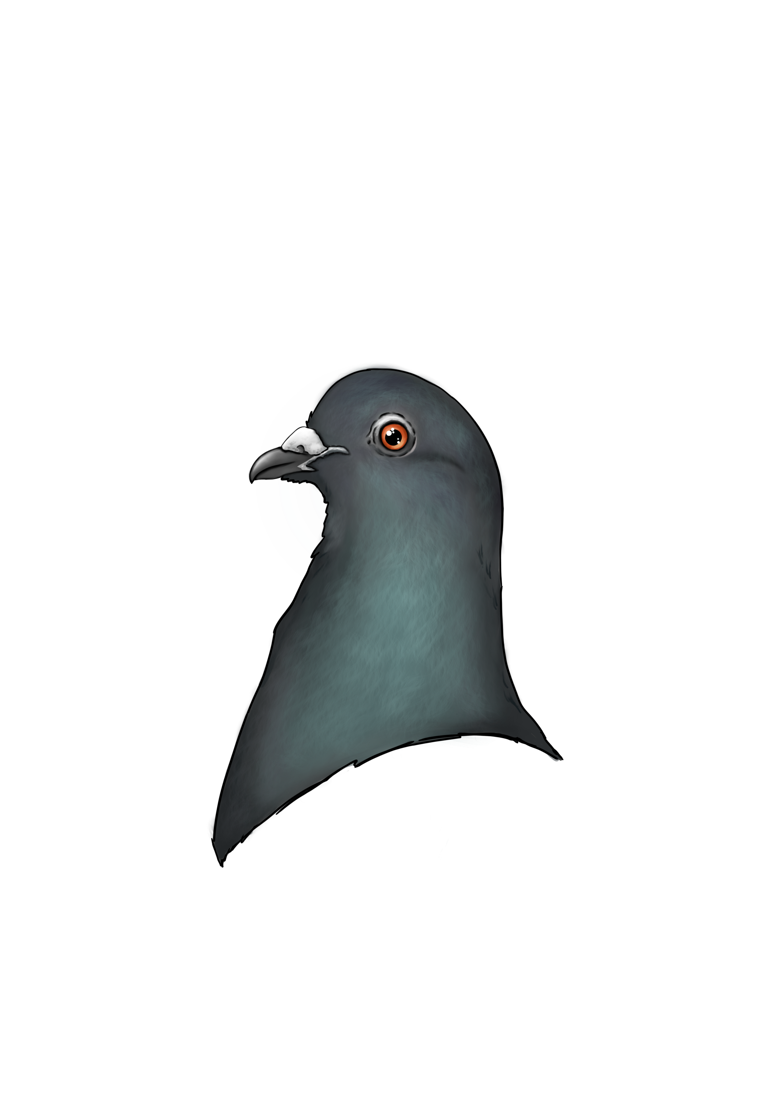 1000028105.png