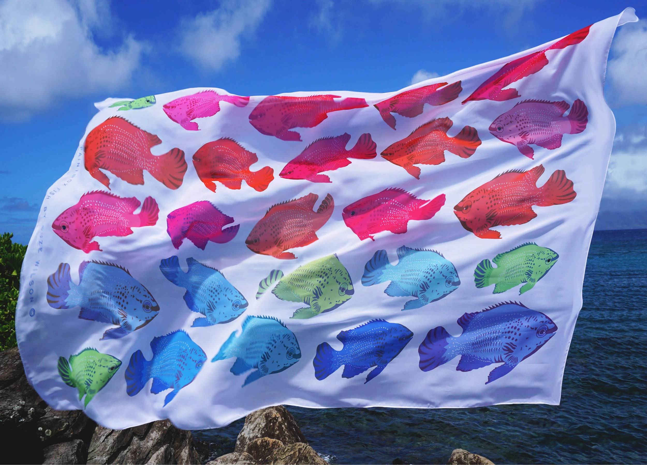 rainbowfish web.jpg